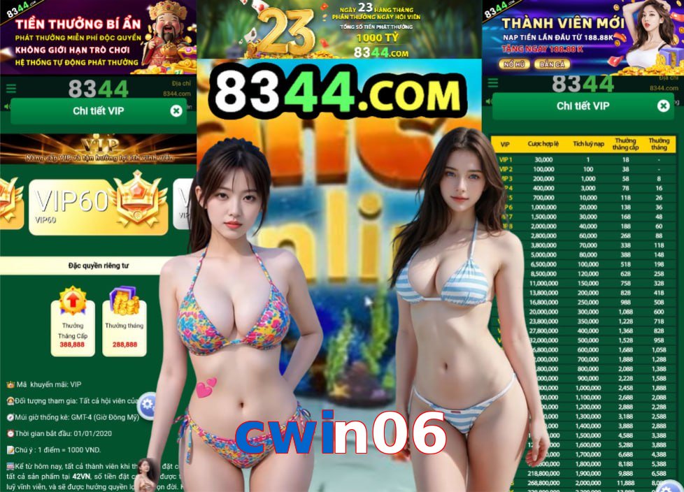 cwin06
